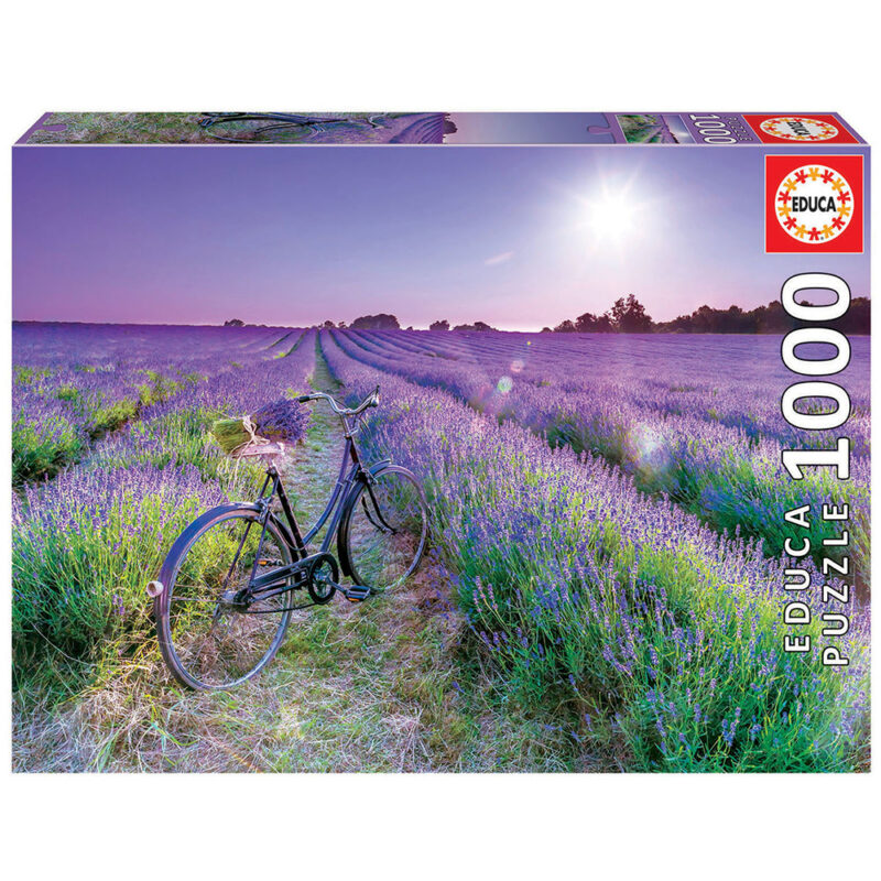 Fiets in Lavendelveld - 1000