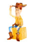 Crystal Gallery Disney Woody 35st