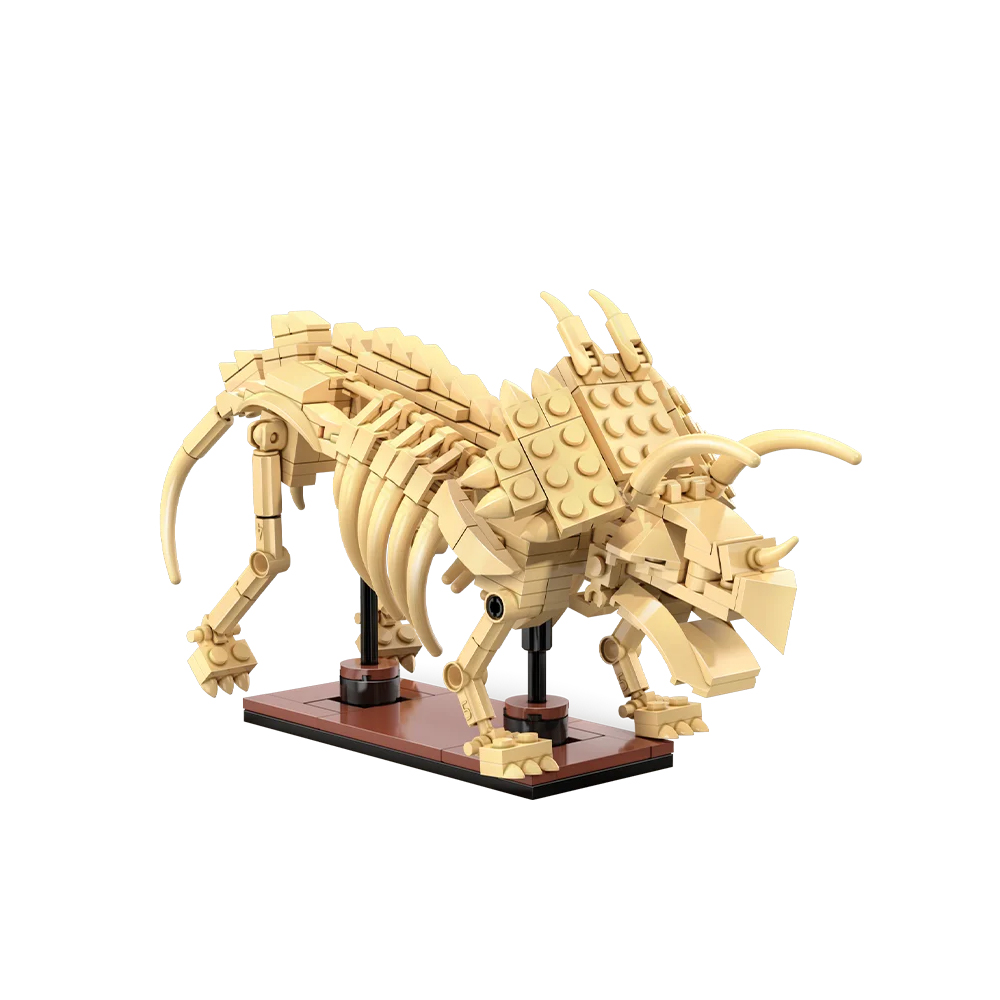 Dinosaurus fossielen Triceratops Dinosaurus fossielen Triceratops
