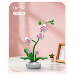 Orchidee in bloempot