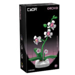 Orchidee in bloempot