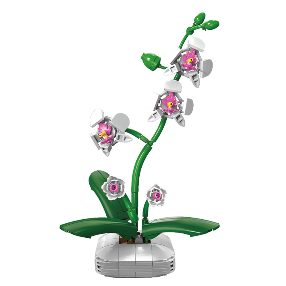 Orchidee in bloempot Orchidee in bloempot
